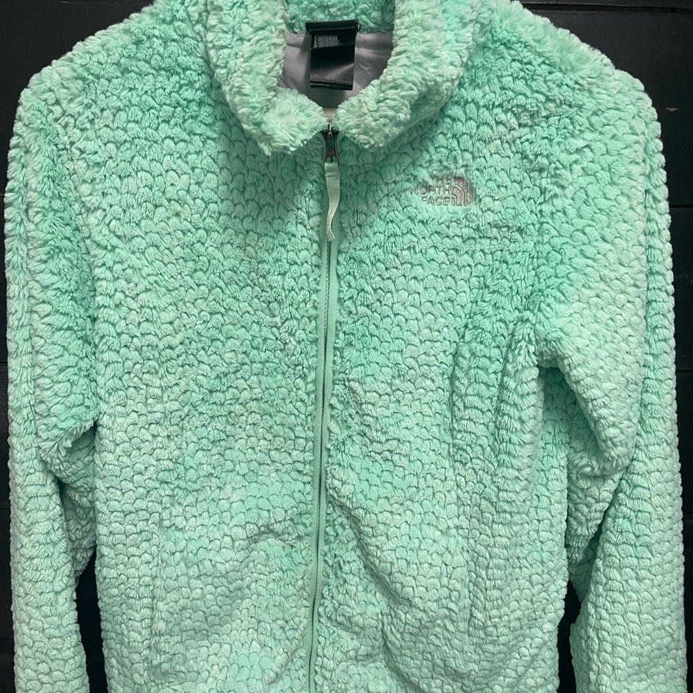 The North Face Light Green Sherpa Jacket